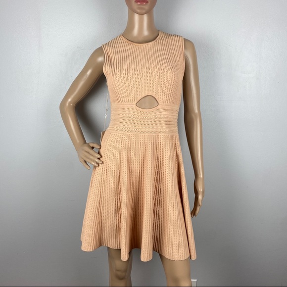 NEW RONNY KOBO REVOLVE SLEEVELESS SKATER MINI DRESS - Picture 2 of 8